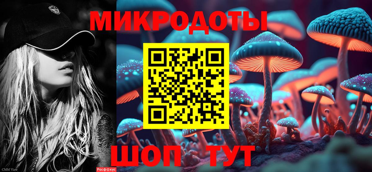 Псилоцибиновые грибы Psilocybe  Вход с VPN  Урус-Мартан 